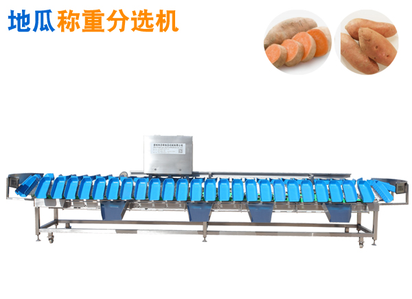 紅薯重量分選機 甘薯分揀機 地瓜選果機 紅薯稱(chēng)重分選機 分級機